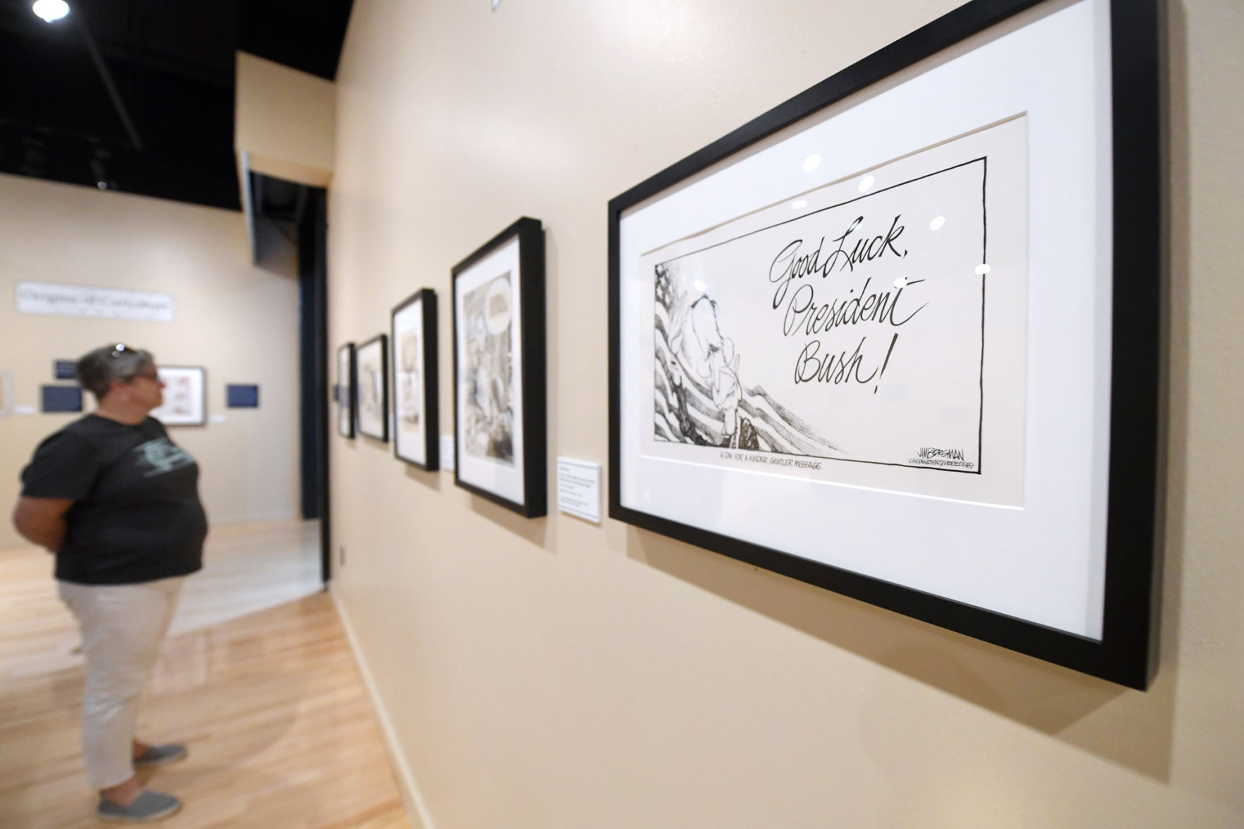Wit and Humor: American Political Cartoons